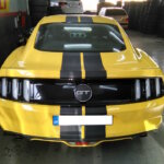 15267791_10202423248698130_4427802088395091989_n - Αντιγραφή