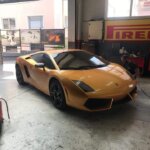 55959652_1026365874216057_8349322372230152192_n